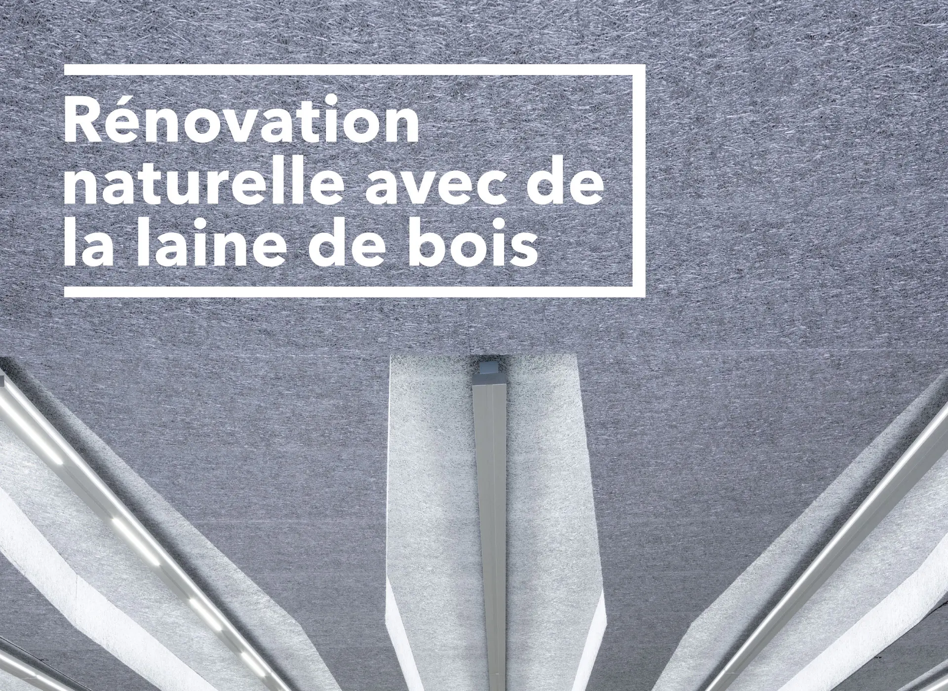 Rénovation